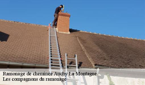 Ramonage de cheminée  auchy-la-montagne-60360 Les compagnons du ramonage