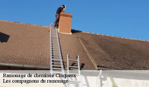 Ramonage de cheminée  cinqueux-60940 Les compagnons du ramonage