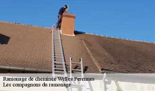 Ramonage de cheminée  welles-perennes-60420 Les compagnons du ramonage