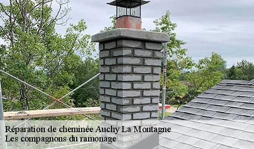 Réparation de cheminée  auchy-la-montagne-60360 Les compagnons du ramonage