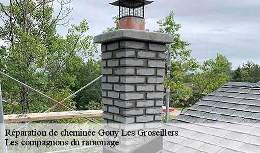 Réparation de cheminée  gouy-les-groseillers-60120 Les compagnons du ramonage