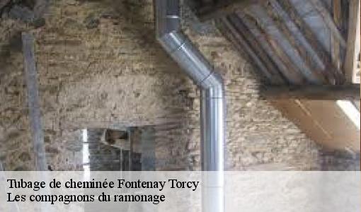 Tubage de cheminée  fontenay-torcy-60380 Les compagnons du ramonage